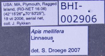 Media type: image;   Entomology 605588 Aspect: labels